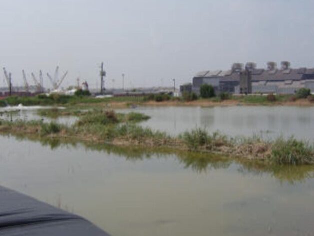 Southeast, Texas 2007