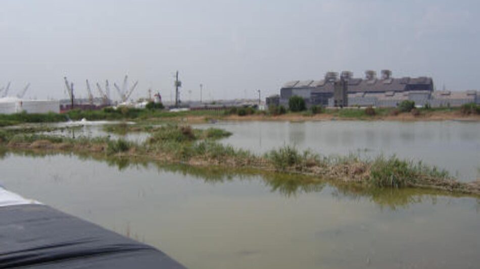 Southeast, Texas 2007