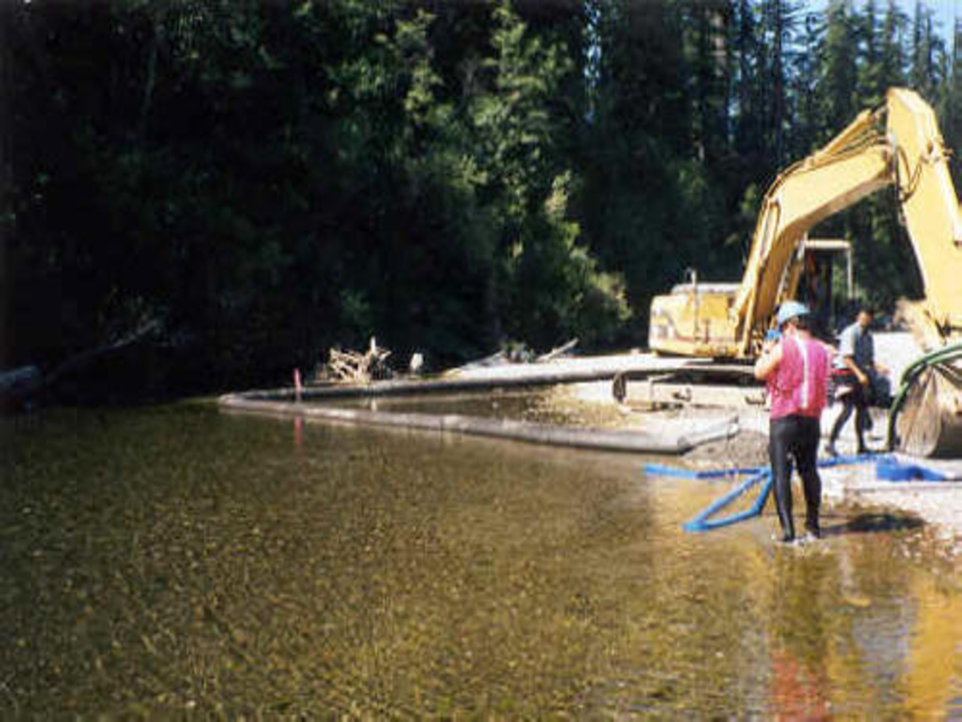 Redcrest, CA 1999