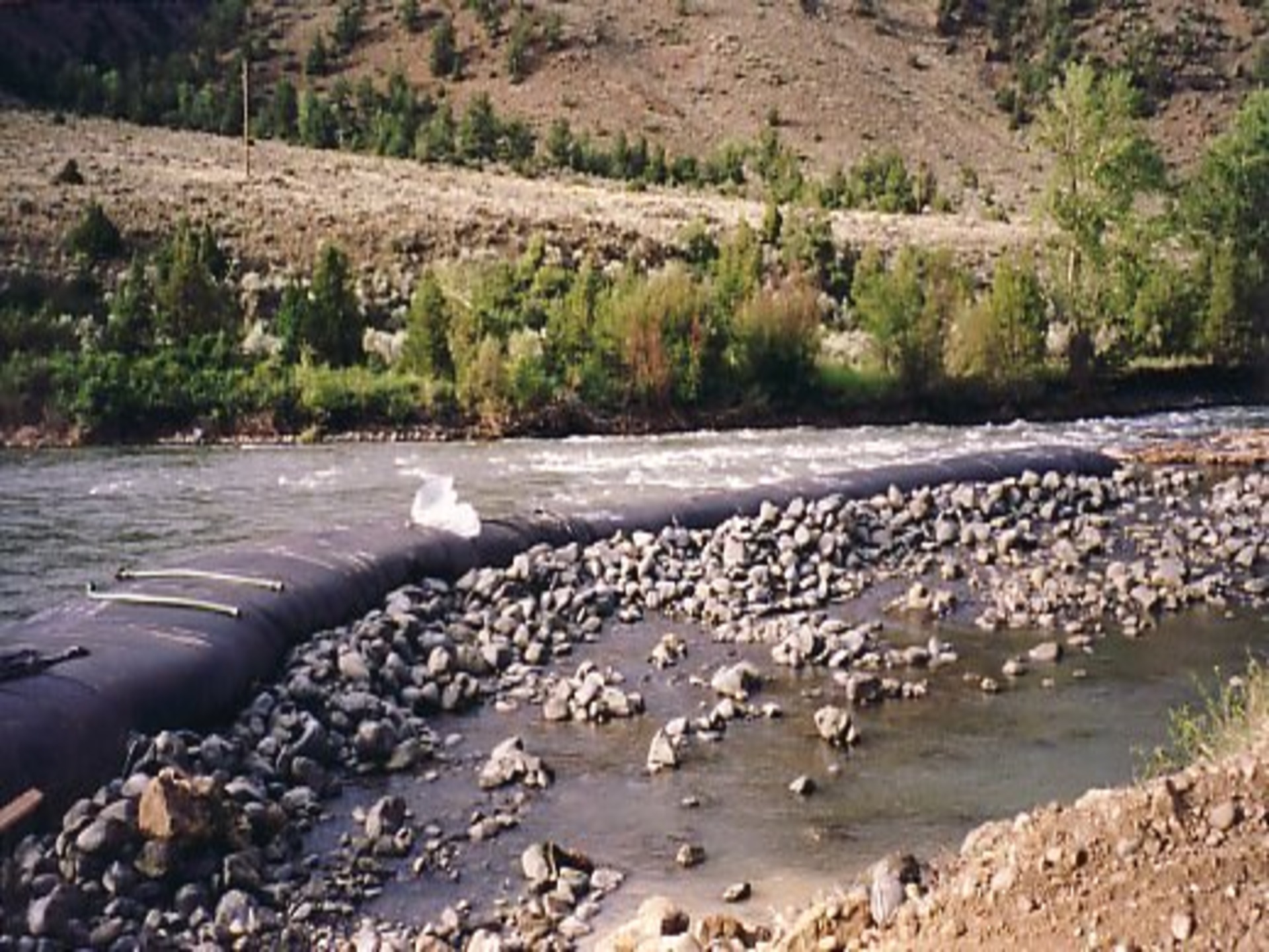 Shoshone River, WY 2002