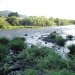 Myrtle Creek, OR 2010