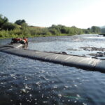 Myrtle Creek, OR 2010
