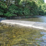Myrtle Creek, OR 2010