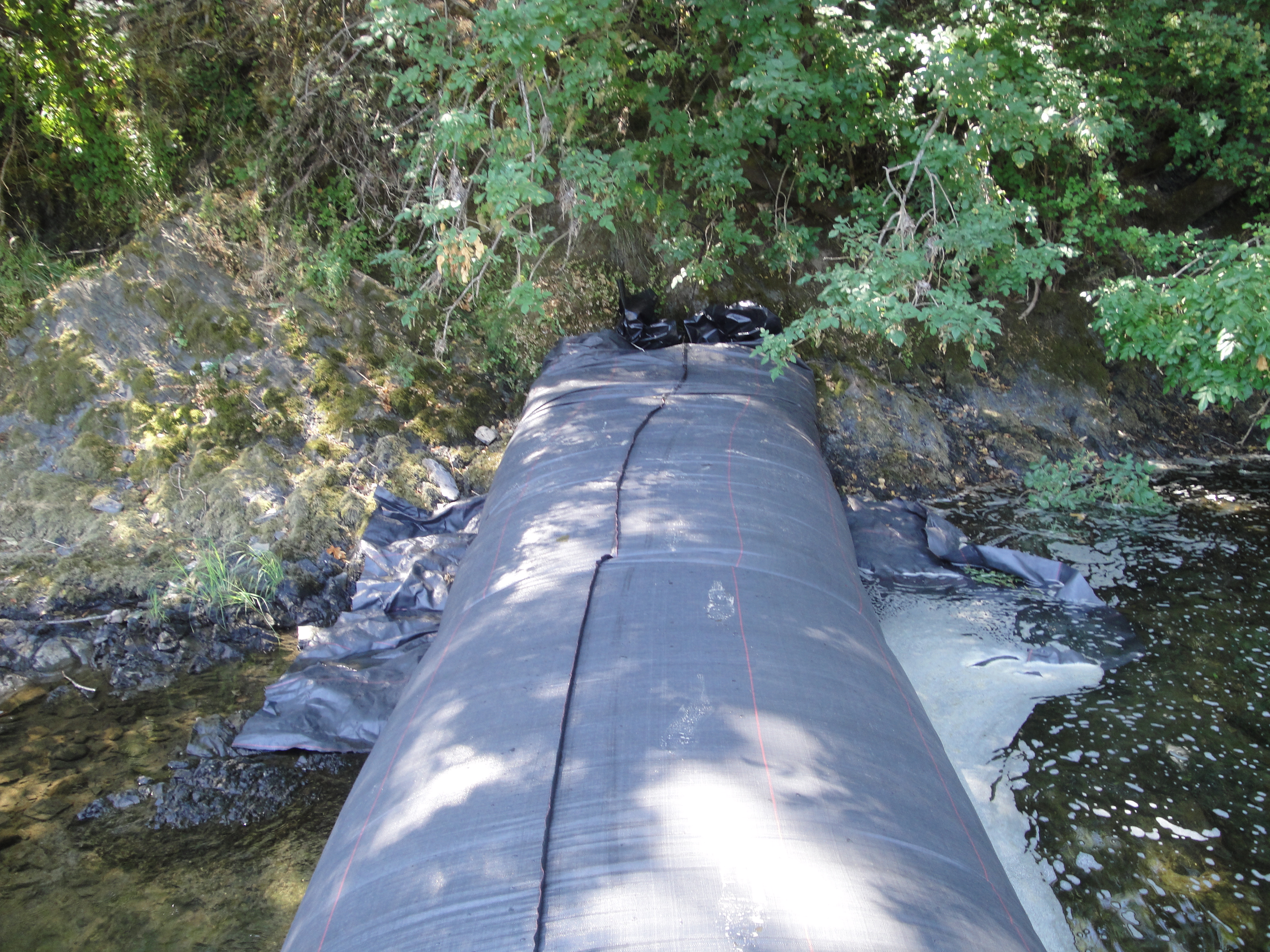 Myrtle Creek, OR 2010