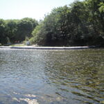 Myrtle Creek, OR 2010