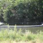 Myrtle Creek, OR 2010