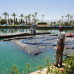 Palm Desert, CA 2012
