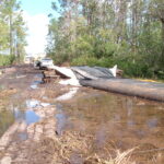 Orlando, FL 2005