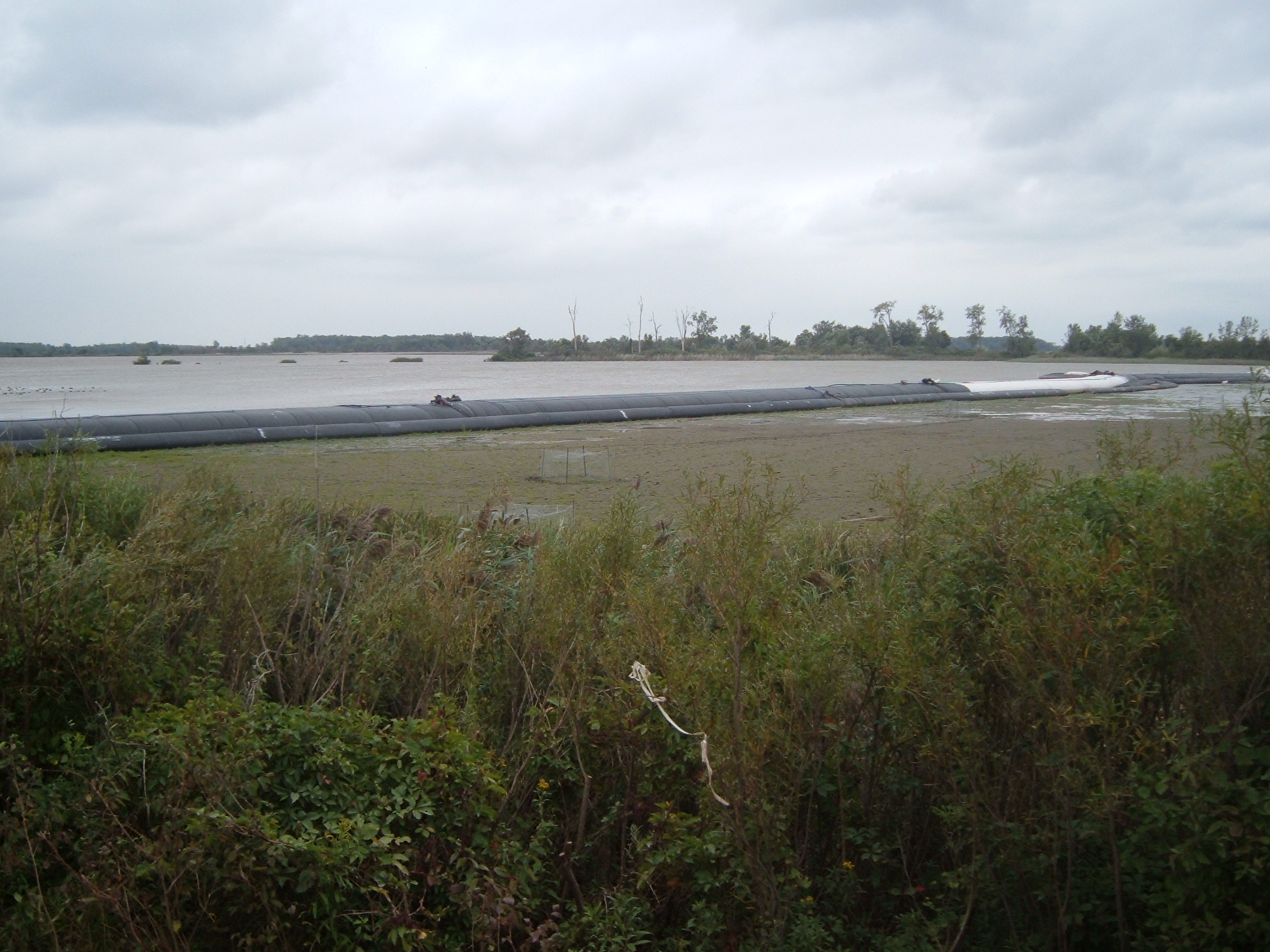 Oak Harbor, OH 2004