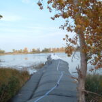 Oak Harbor, OH 2004
