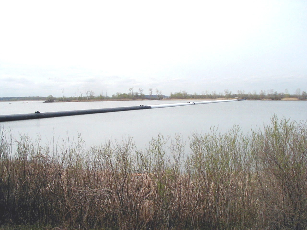 Oak Harbor, OH 2004