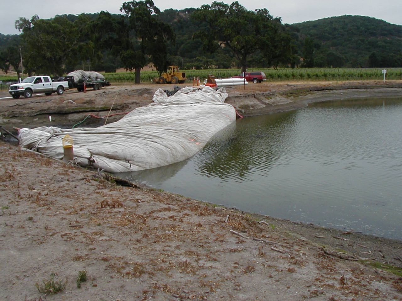 Napa, CA 2003