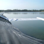 Naples, FL 2004