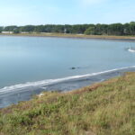 Naples, FL 2004