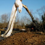 New Jersey 2003