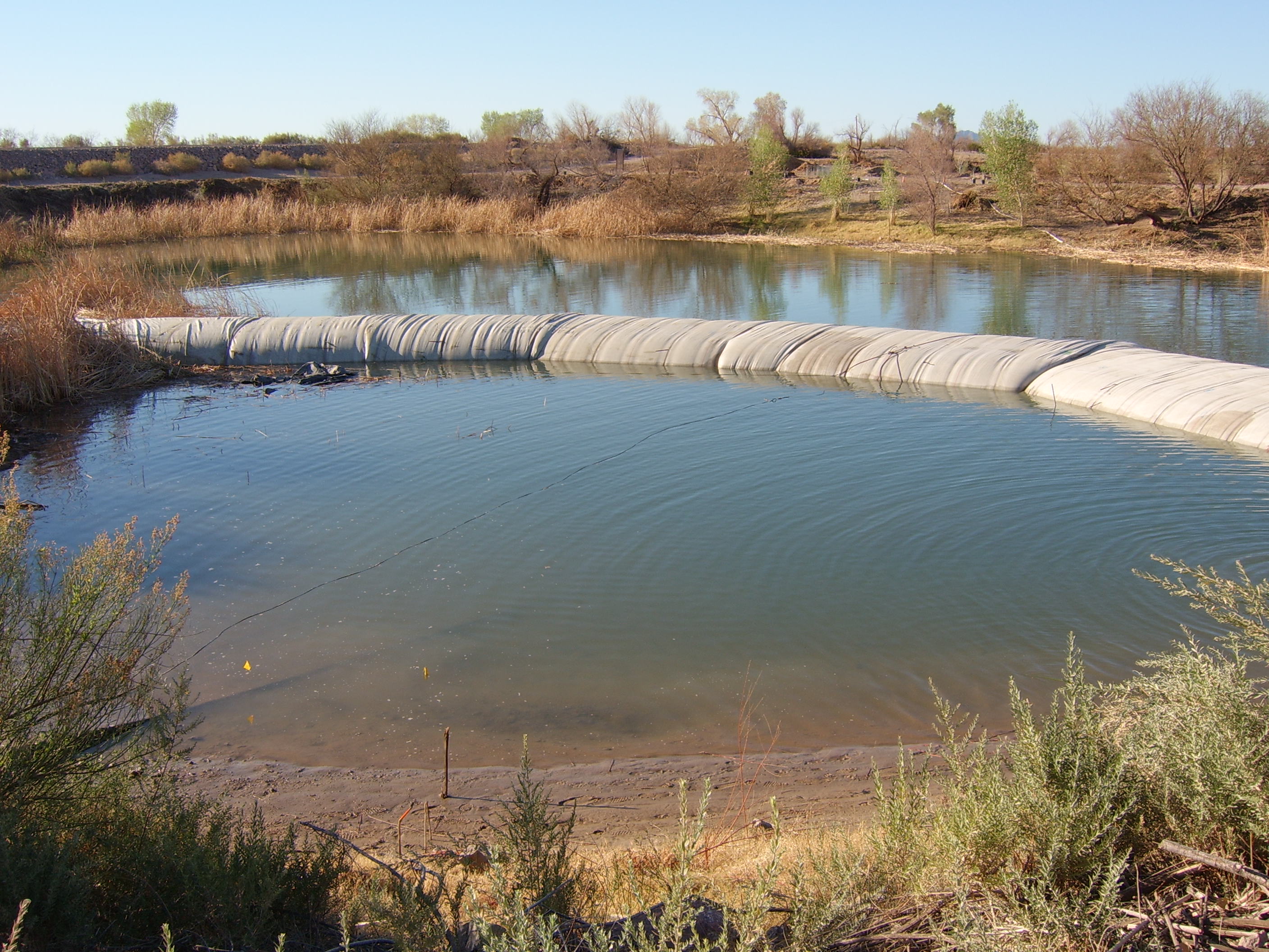 Colorado River, CO 2007