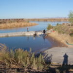 Colorado River, CO 2007