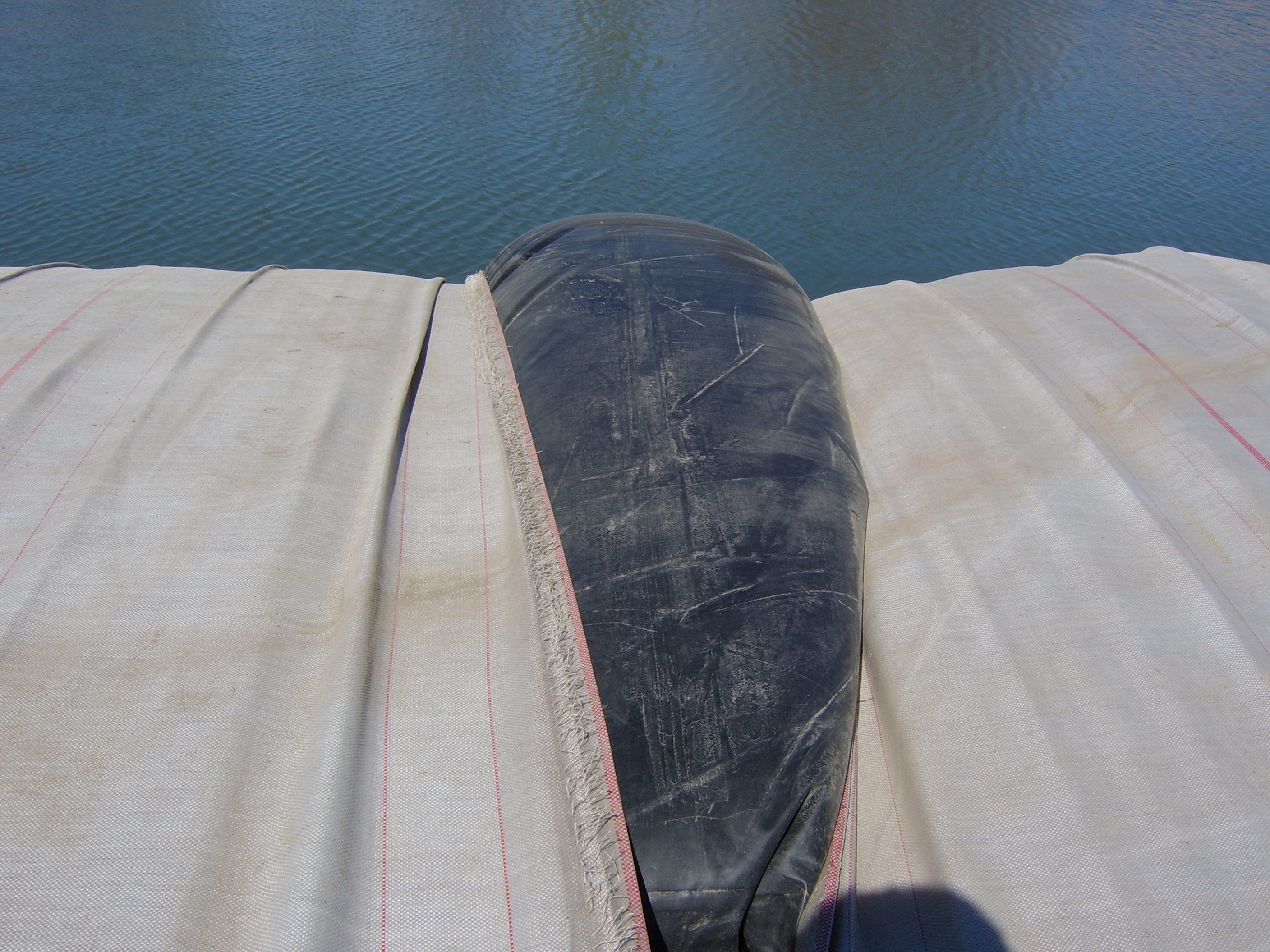 Colorado River, CO 2007