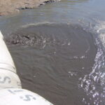 Colorado River, CO 2007