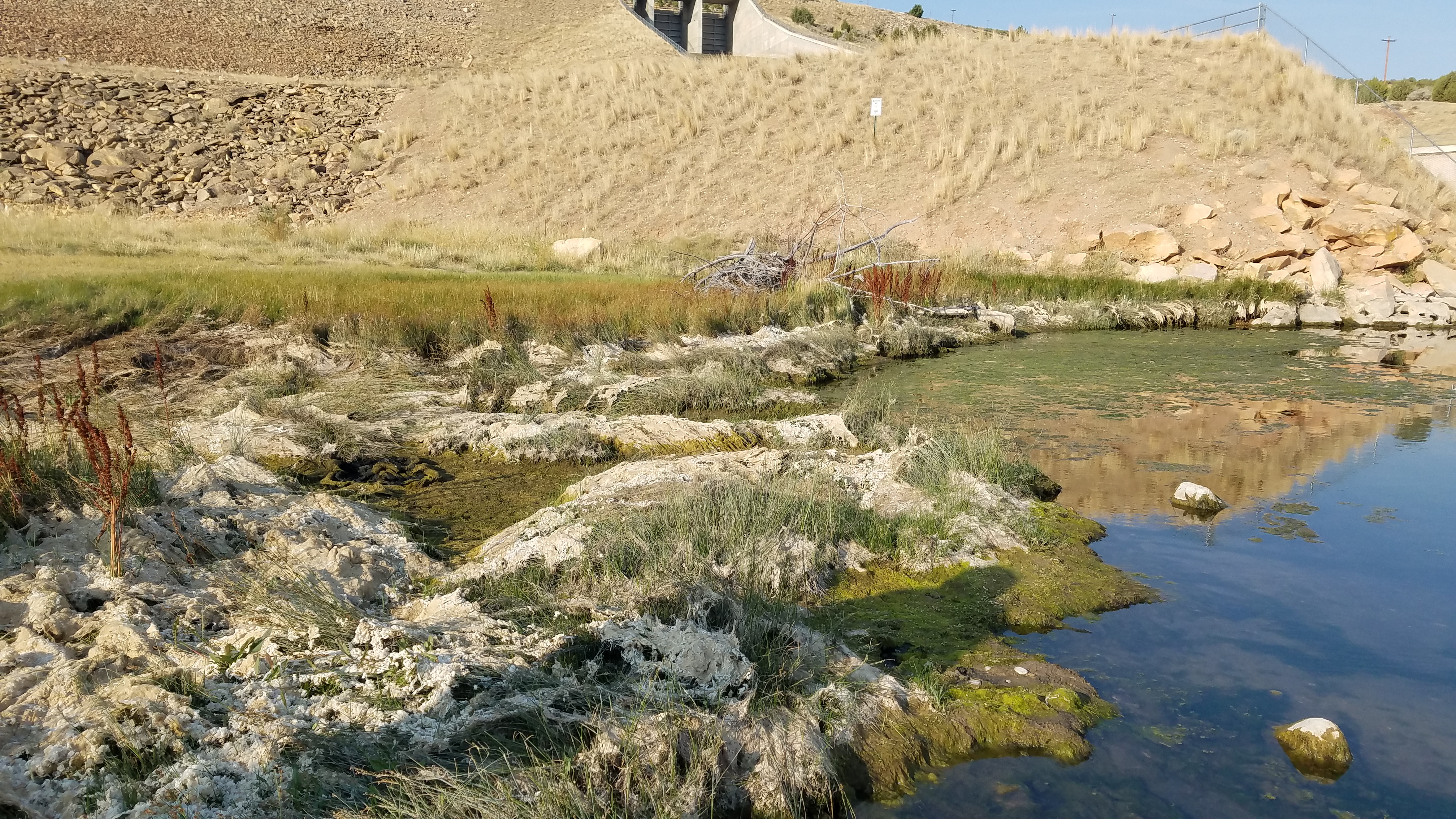 Alcova, WY 2020