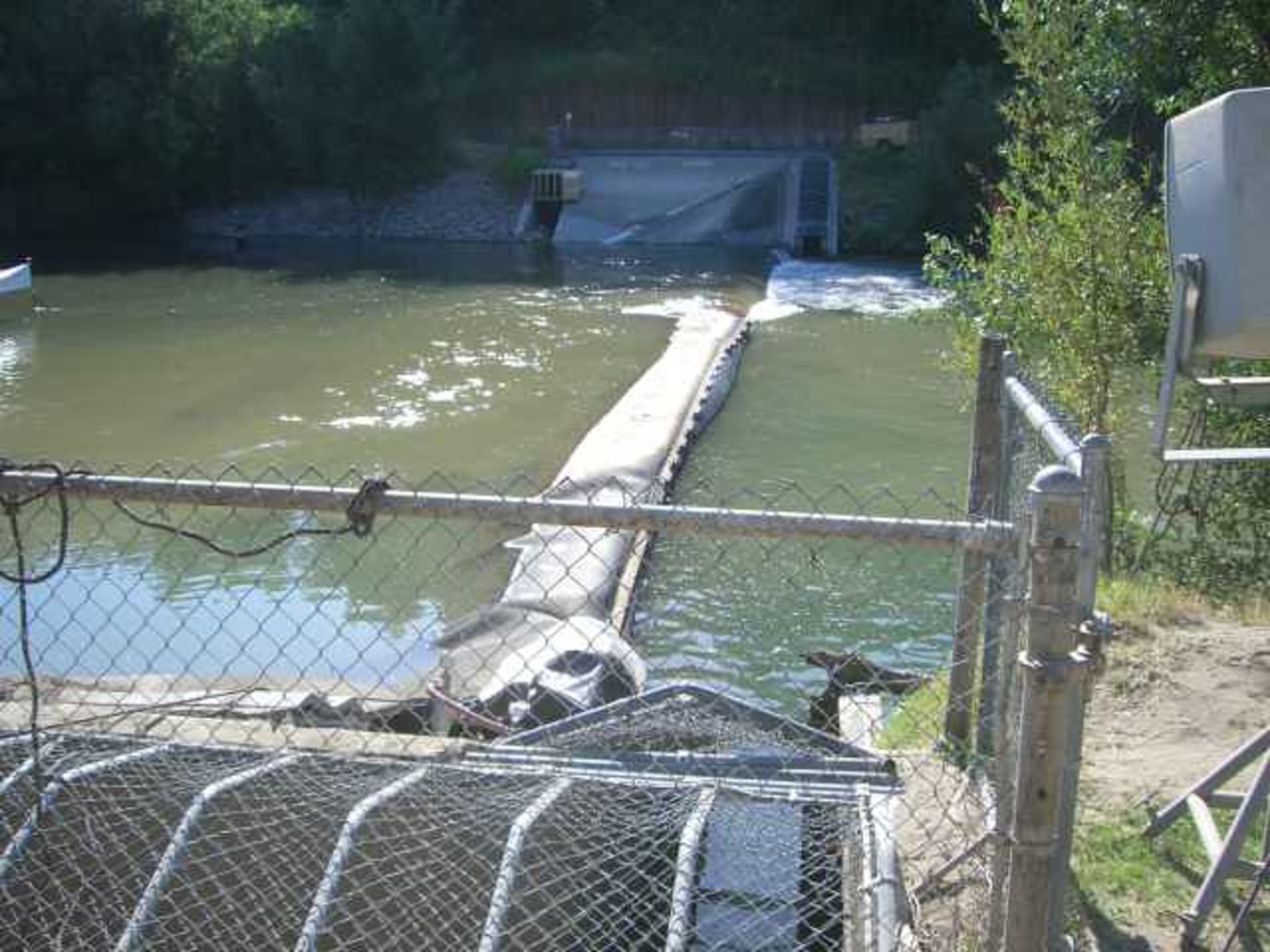 Healdsburg, CA 2006