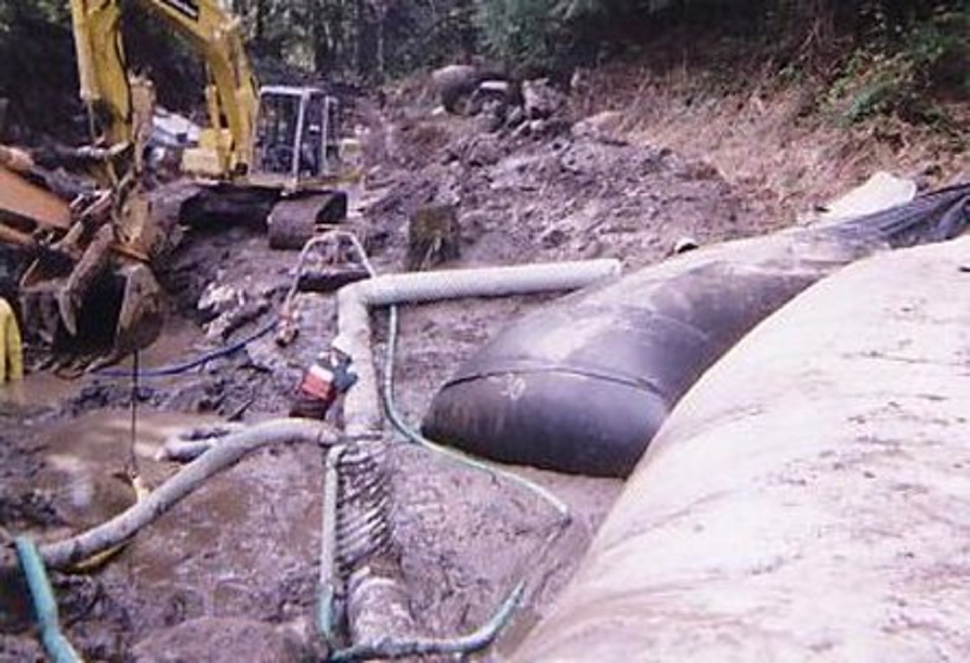 Eugene, OR 2002