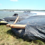 Hampton, VA 2008