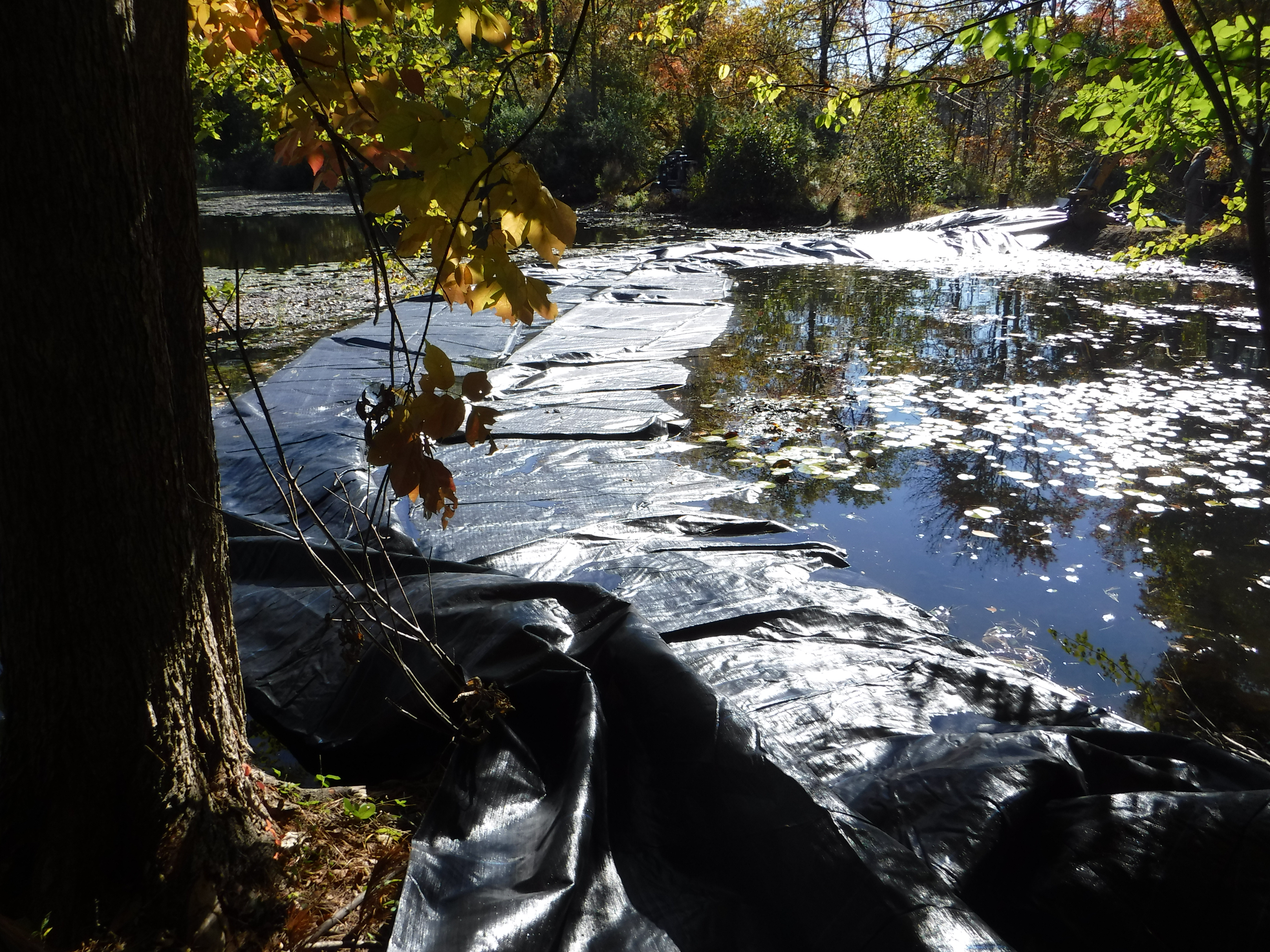 Newburgh, NY 2015
