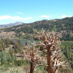 Markleeville, CA 2004