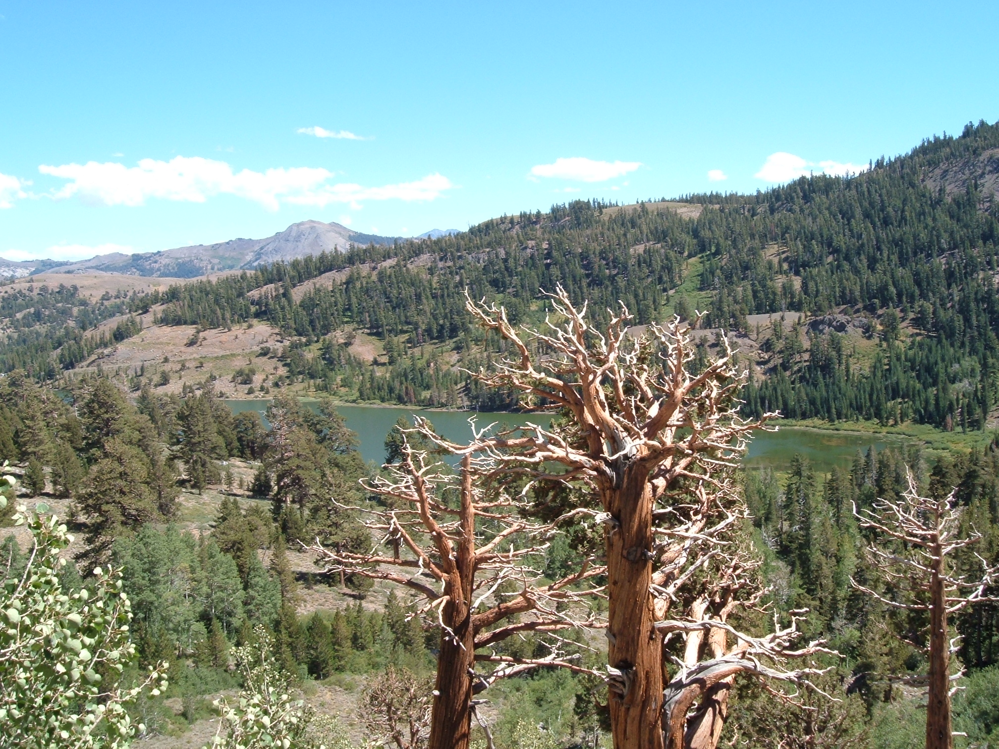 Markleeville, CA 2004