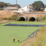 Lincoln, CA 2004