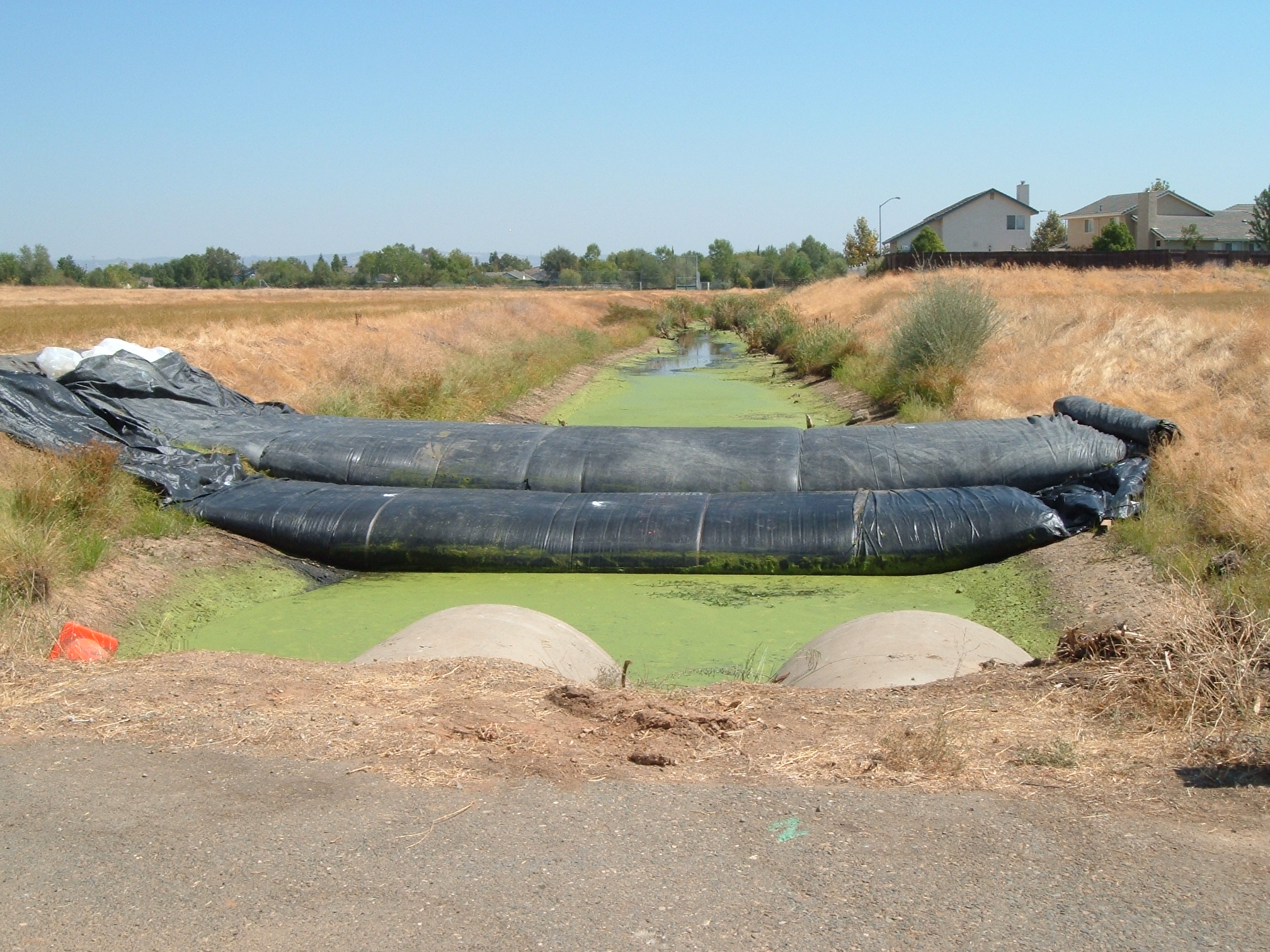 Lincoln, CA 2004