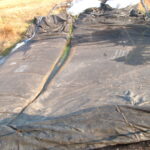 Lincoln, CA 2004