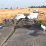 Lincoln, CA 2004