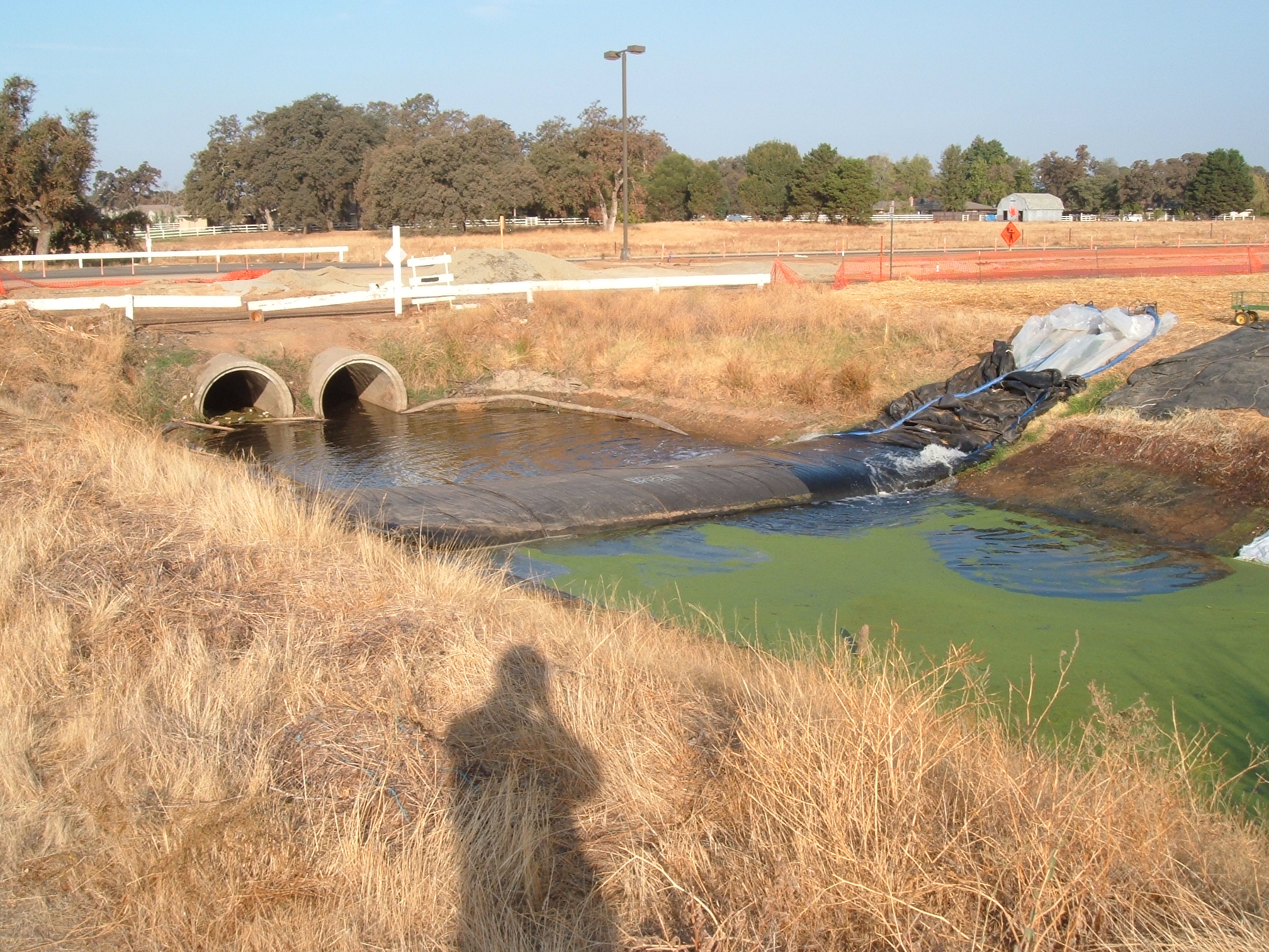 Lincoln, CA 2004