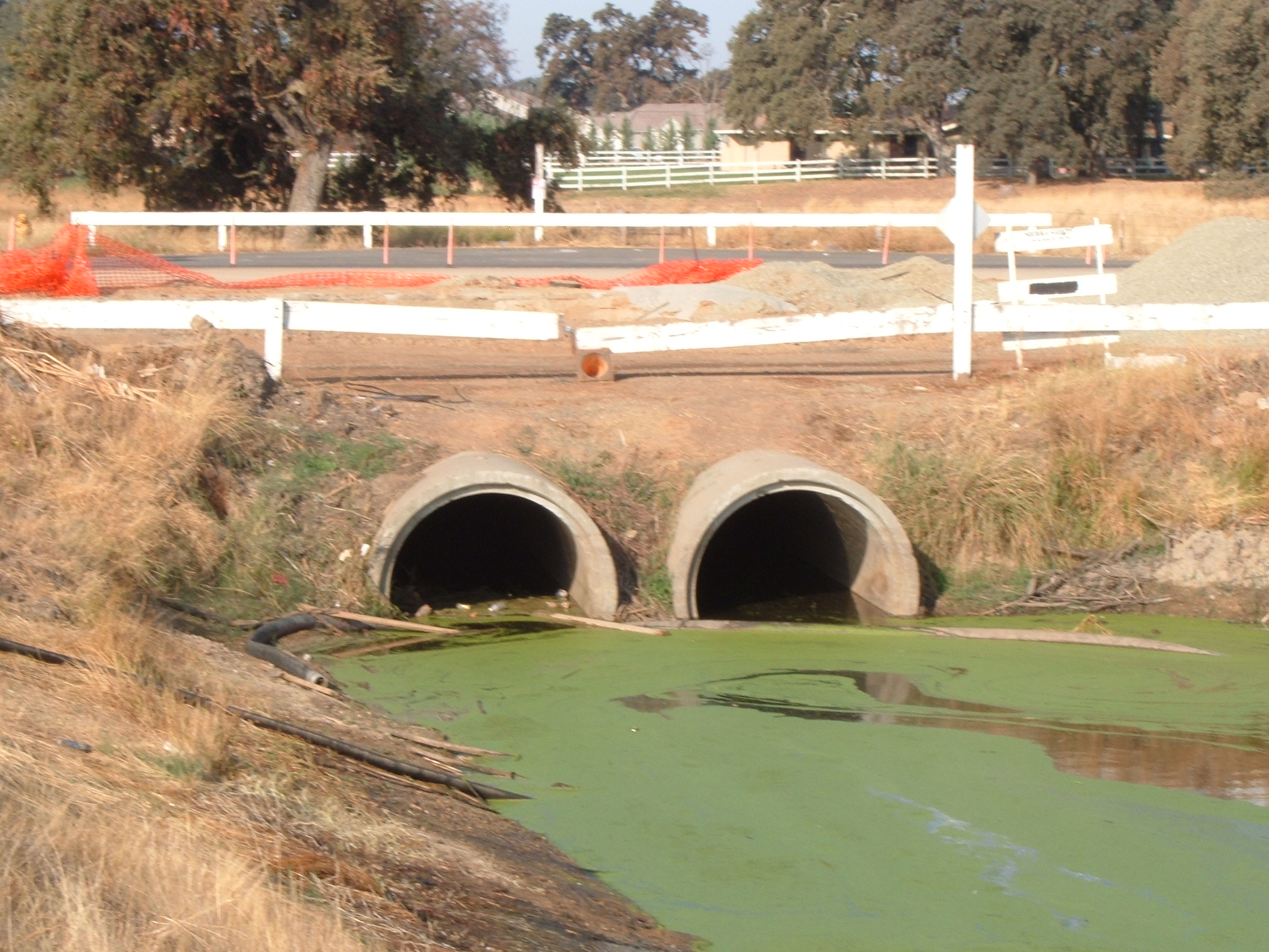 Lincoln, CA 2004