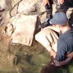 Markleeville, CA 2004