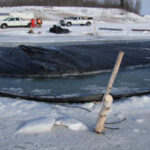 Manitoba, Canada 2008
