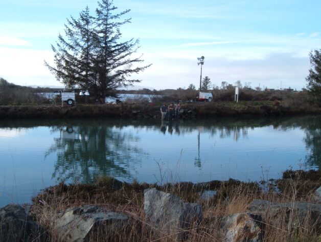 King Salmon, CA 2005
