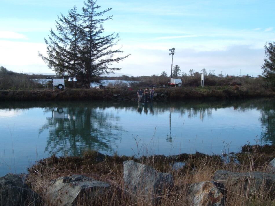King Salmon, CA 2005