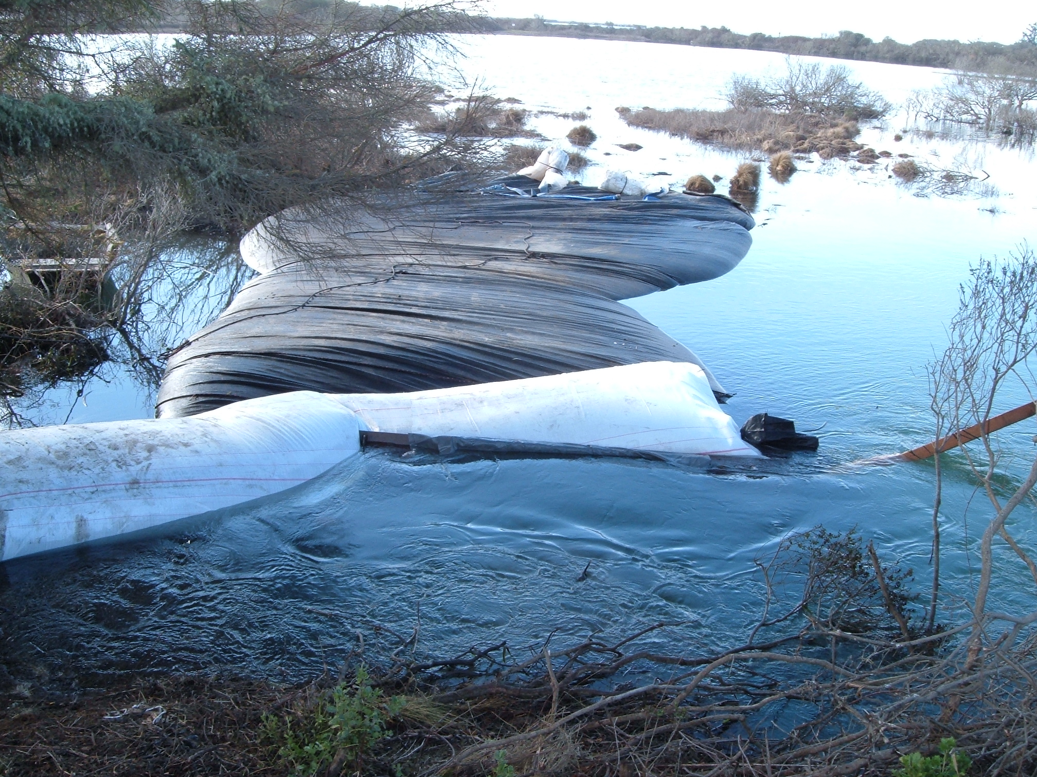 King Salmon, CA 2005