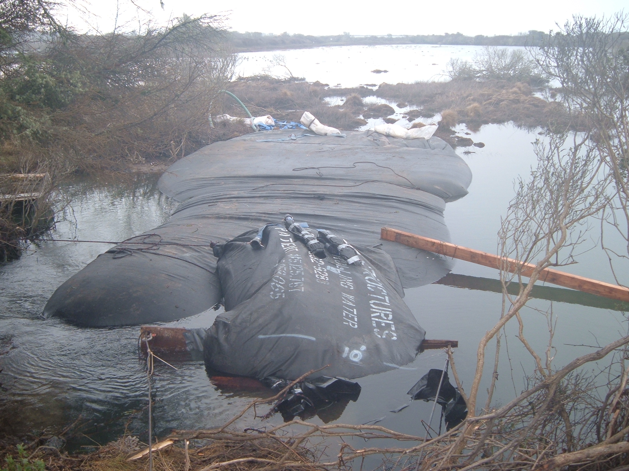 King Salmon, CA 2005