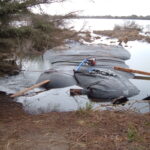 King Salmon, CA 2005