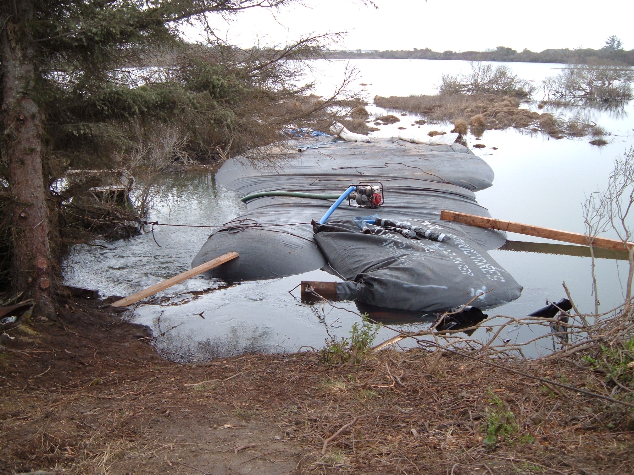 King Salmon, CA 2005