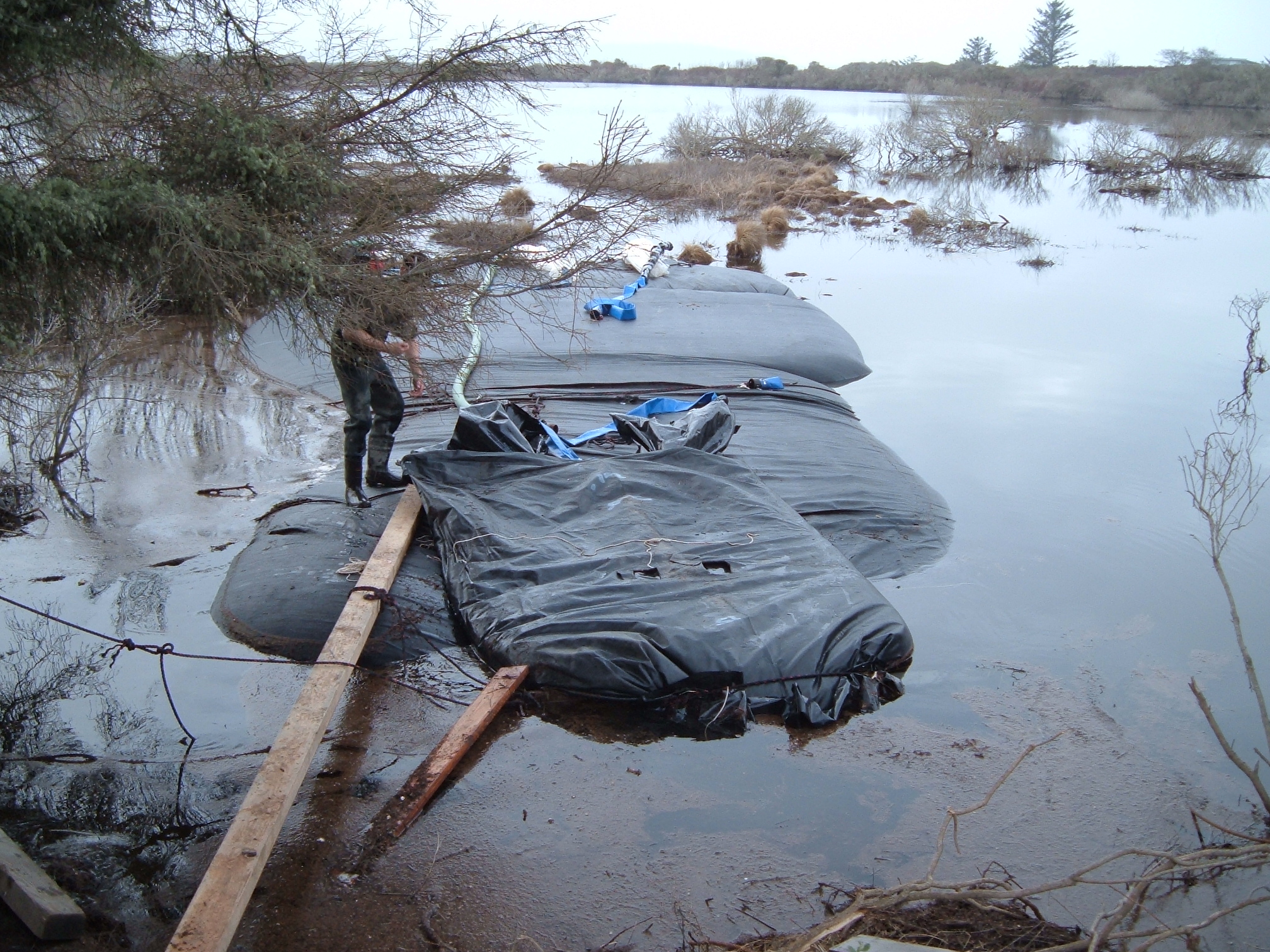 King Salmon, CA 2005