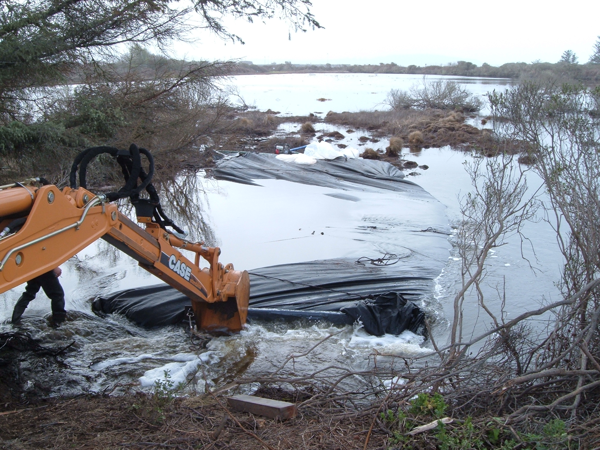 King Salmon, CA 2005