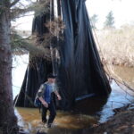 King Salmon, CA 2005