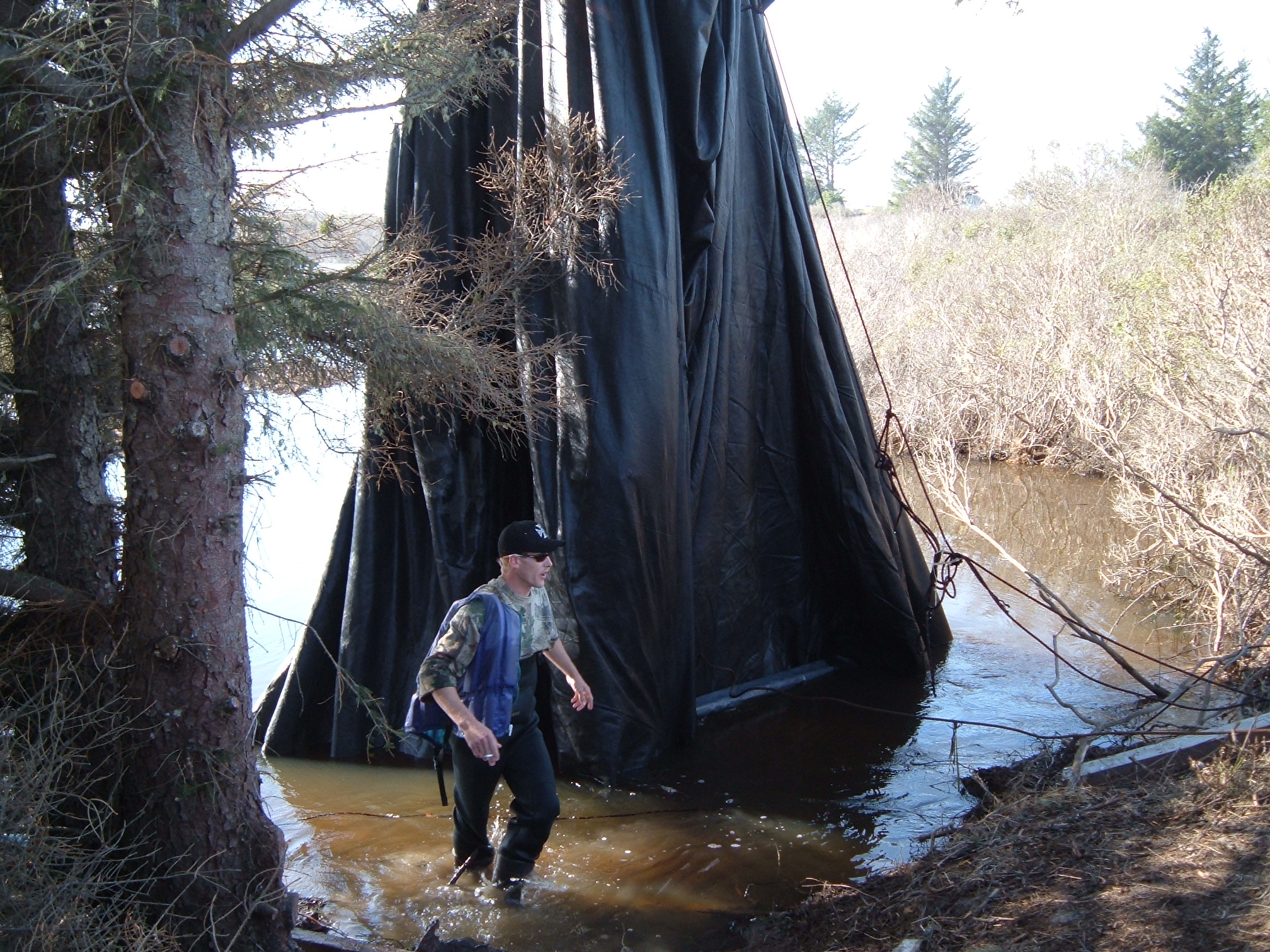 King Salmon, CA 2005