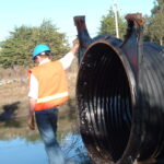 King Salmon, CA 2005