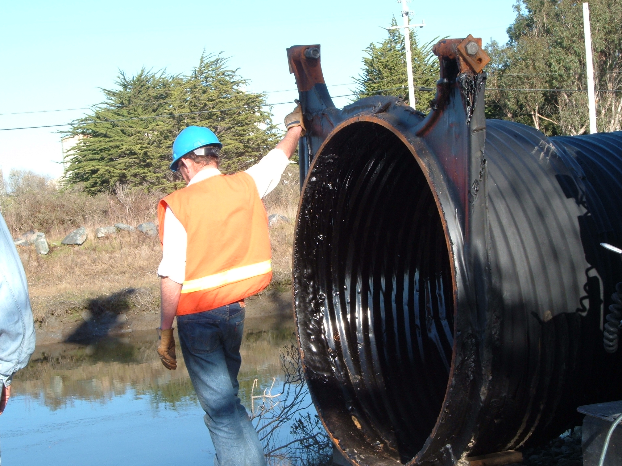 King Salmon, CA 2005